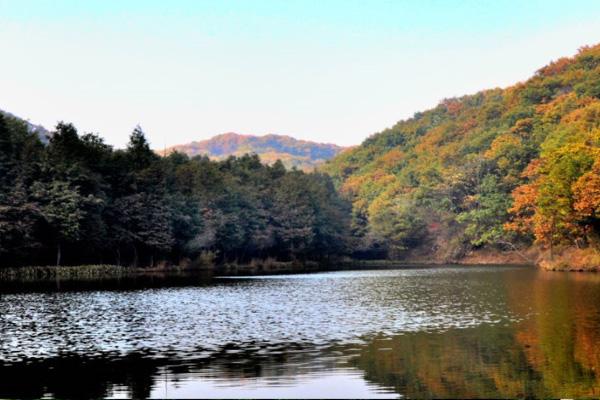 洛阳天池山风景区门票多少钱 怎么预约