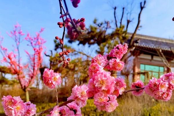 渭南南湖公园旅游攻略-门票价格-景点信息