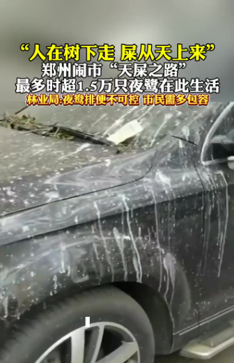 捡漏停个车：车却变成了“厕所”