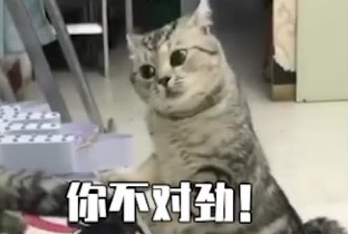 你不对劲是什么梗？