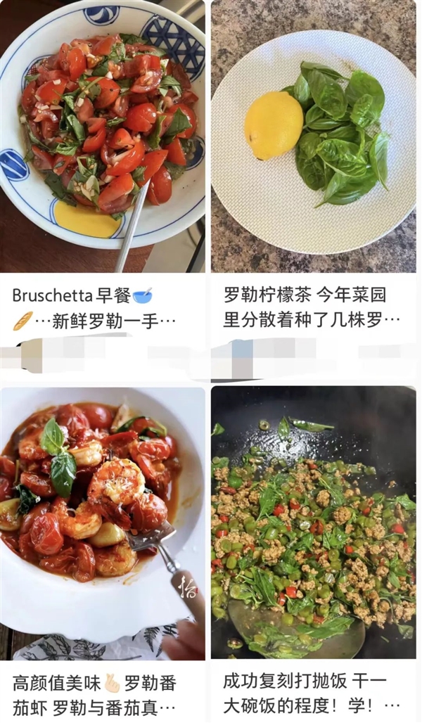 河南人的专属“猫薄荷”：我打赌你没吃过