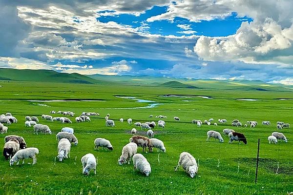 吉林到呼伦贝尔大草原自驾游七天线路推荐