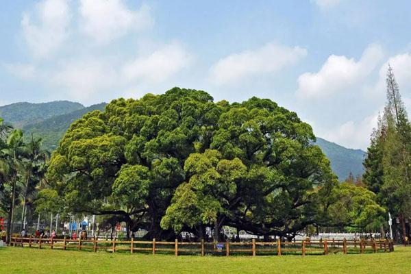 福州亲子游玩好去处推荐