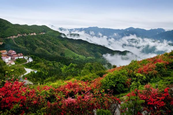 湖南永州阳明山国家森林公园游玩攻略 门票价格 景点信息