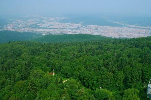 兴安森林公园旅游攻略 门票价格 景点信息