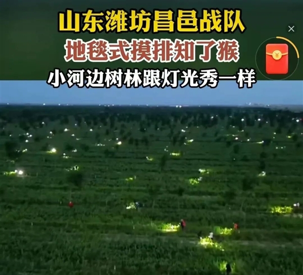上海闹“蝉灾”！给山东人急得团团转