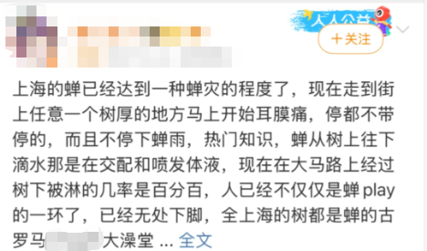 上海闹“蝉灾”！给山东人急得团团转