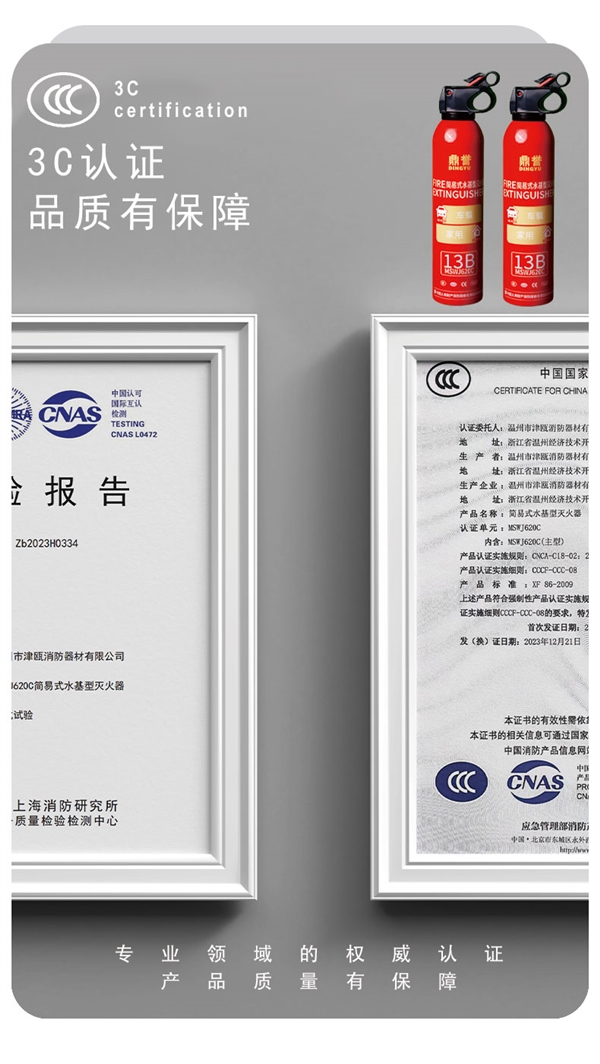 车载家用都适宜！鼎誉13B水基型灭火器9.9元限时大促