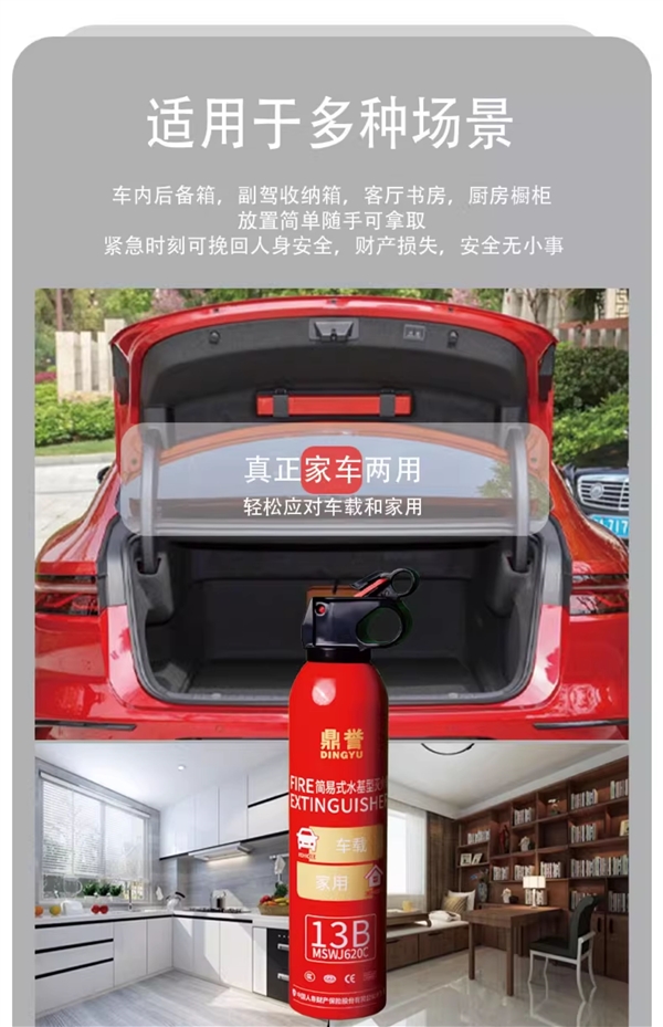 车载家用都适宜！鼎誉13B水基型灭火器9.9元限时大促