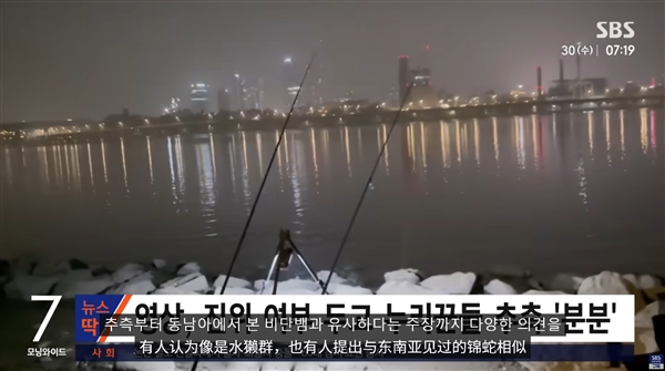 韩国汉江惊现巨型不明物体引恐慌：已有先例 可能又是浮漂