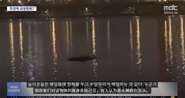 韩国汉江惊现巨型不明物体引恐慌：已有先例 可能又是浮漂