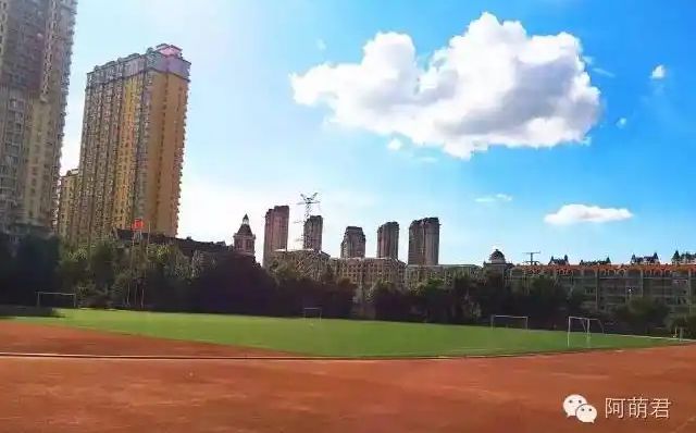 哈尔滨市田家炳高级实验中学校区在哪 在什么区？
