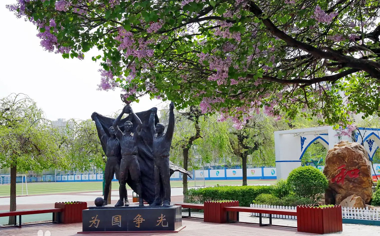 沈阳市回民中学校区在哪_在什么区？