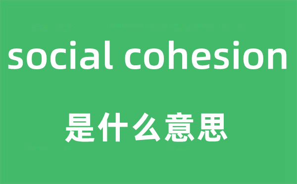 social cohesion是什么意思 中文翻译是什么?