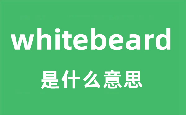 whitebeard是什么意思 whitebeard怎么读？