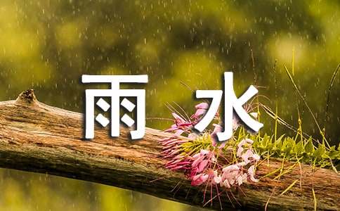 雨水节气的诗词35首