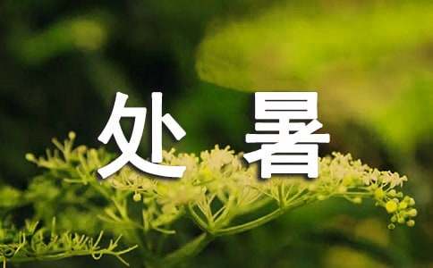 处暑古诗词（精选40首）
