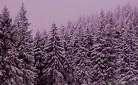 关于小雪节气习俗的诗词