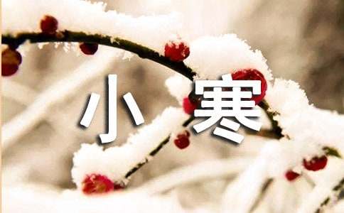 小寒腊梅古诗词（精选38首）