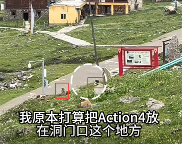 土拨鼠又来叼东西 这次是车钥匙：花3个小时才用磁铁找回