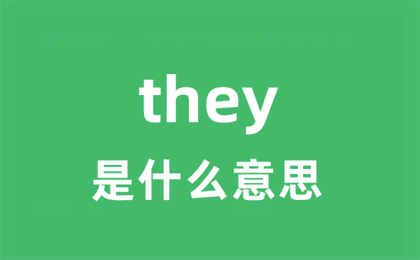 they是什么意思 they怎么读 中文翻译是什么？