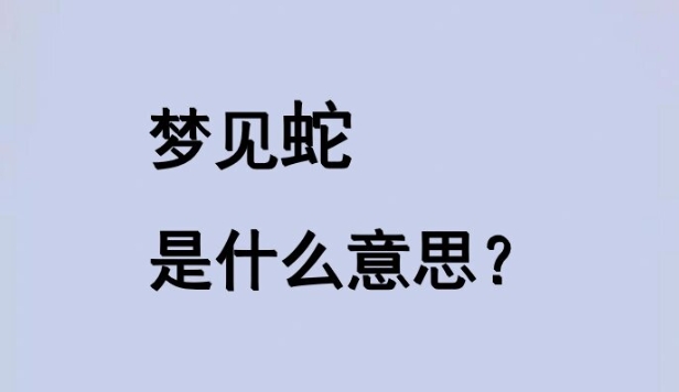 20250808-154756.jpg