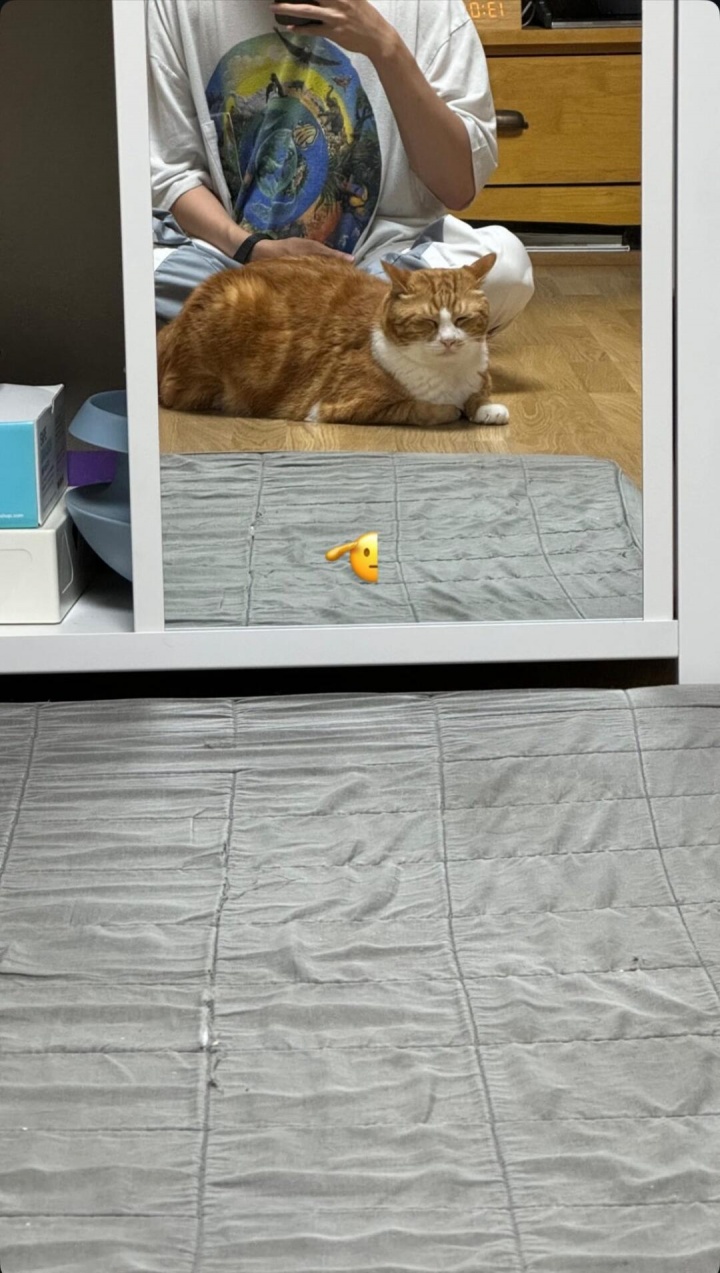 肉眼可见的壮了许多~！Deft休假更新INS 发布了与小猫的合照