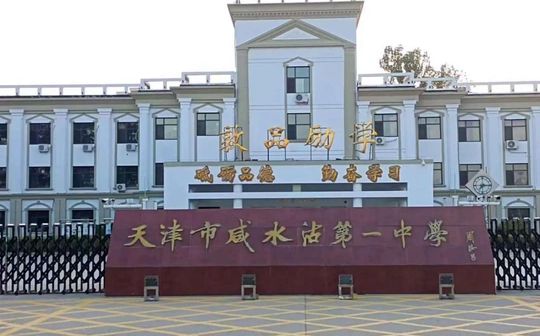 天津市咸水沽第一中学是公立还是私立,是重点中学吗？