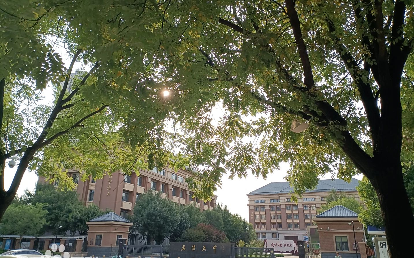 天津市第五中学校区在哪 在什么区？