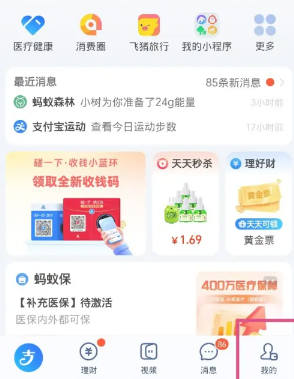 支付宝年度账单在哪里查看2024？