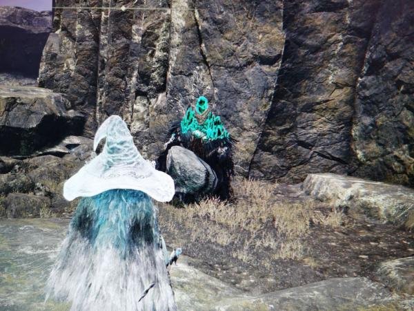 艾尔登法环封印魔女的废墟魔女解救方法