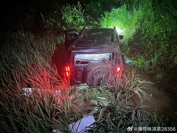 男子和女友开哈弗猛龙滚落80米悬崖 二人仅手臂轻微擦伤！长城魏建军：万幸人没事