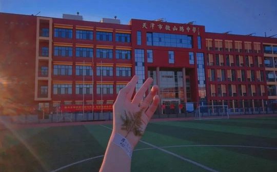 天津市微山路中学校区在哪 在什么区？