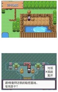 口袋妖怪漆黑的魅影二周目攻略