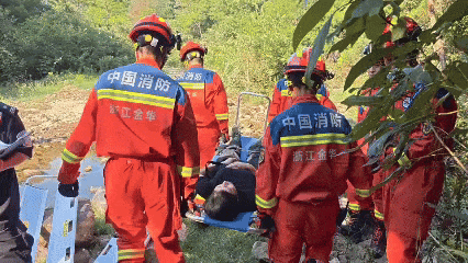 云南人自认可辨别野生菌 错把见手青认成牛肝菌 4人中毒