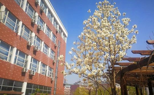 石家庄市鹿泉区第一中学在石家庄的排名第几 属于什么档次？