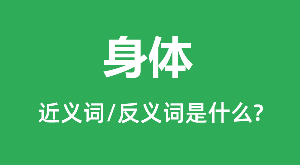 身体的近义词和反义词是什么 身体是什么意思?