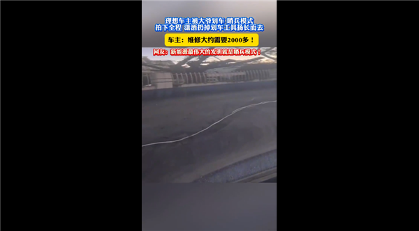 理想汽车停路边惨遭划车 陌生大爷潇洒离开：哨兵模式记录全过程