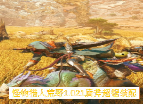 怪物猎人荒野1.021盾斧泡沫流配装