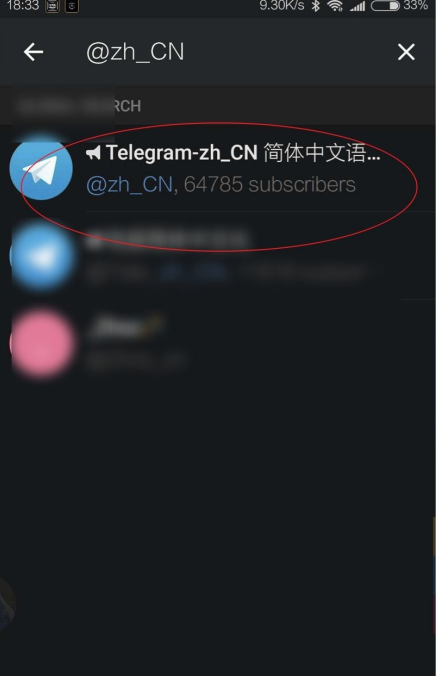 Telegram语言包搜索界面
