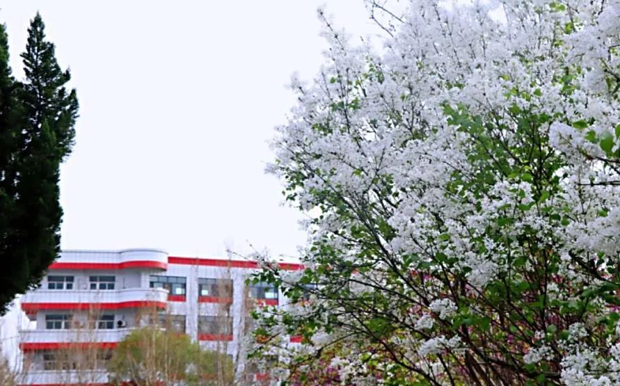 山东省济北中学是公立还是私立,是重点中学吗？