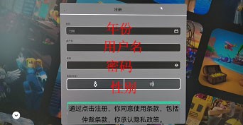 Roblox个人信息填写界面