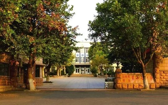 山东省青岛第十七中学在青岛的排名第几 属于什么档次？