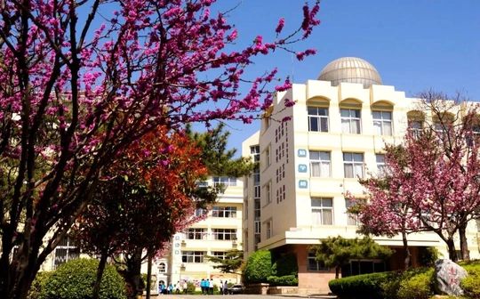 山东省青岛第十七中学简介概况（建校历史、地址、师资、校训、环境）