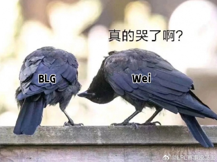 理性讨论：作为目前LPL纸面实力最强的全华班BLG，为什么风评如此之差？