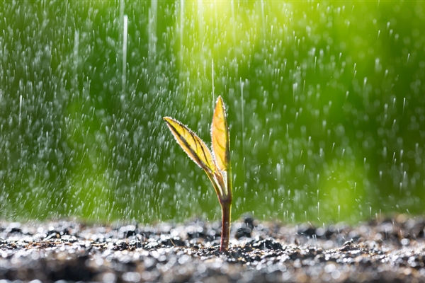 北京暴雨过后出现“双彩虹”：网友纷纷驻足围观
