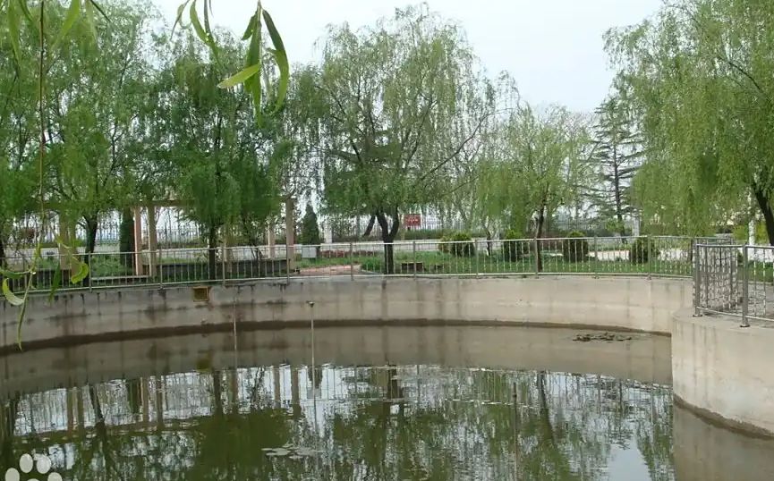 青岛市即墨区第四中学简介概况（建校历史、地址、师资、校训、环境）