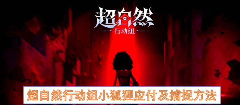超自然行动组小狐狸驯服与捕捉技巧