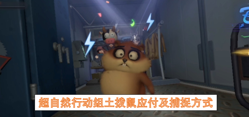 超自然行动组土拨鼠行为机制与应对策略