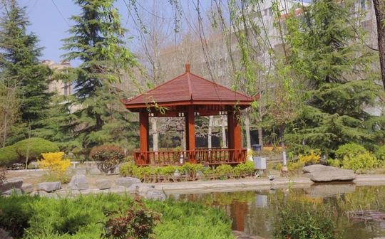 即墨区市北中学校区在哪 在什么区？
